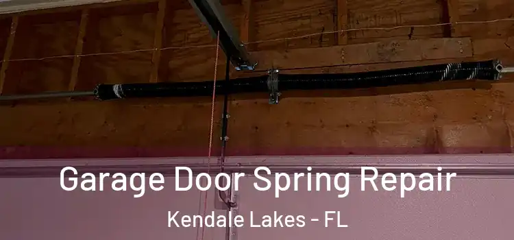  Garage Door Spring Repair Kendale Lakes - FL
