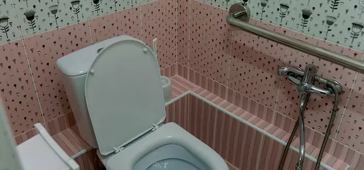 Meeting Diverse Needs With Accessible Restroom Solutions in Kendale Lakes, FL